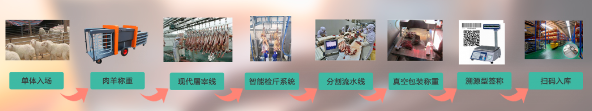 肉牛肉羊屠宰加工管理系统 肉牛肉羊屠宰加工管理系统