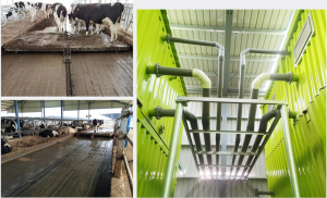 BEDDING MATERIAL RECYCLING SYSTEM